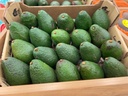 Avokado