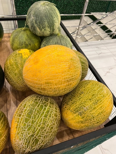 Дыня Мирзачульская