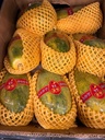 Papaya