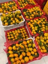 Мандарины с листьями